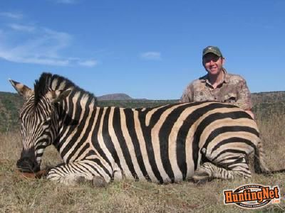 Africa Safari Journal on Huntingnet Com   Booking An African Safari