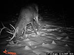 thinks it big 10 point