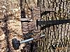 Affordable camo dipped camera arms-dipped-arm-020edit.jpg