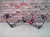 2010 Mathews Monster-picture-20004.jpg