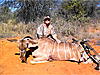 South African Safari hunting opportunity-iphone-pics-229.jpg