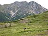 2011 Dall Sheep Hunt-22-bou-move.jpg