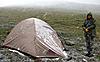 2011 Dall Sheep Hunt-40-snowy-camp-opening-morning.jpg