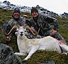 2011 Dall Sheep Hunt-60-dads-ram-4.jpg