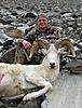 Dall Sheep Hunt Report and Photos-pictures_111.jpg