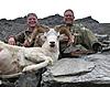 Dall Sheep Hunt Report and Photos-pictures_131.jpg