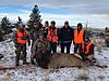 Mwotw elk hunt-matt-elk-2018.jpeg