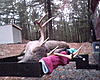 Va 8point with Pic-umobilepicture11-12-09-072528.jpeg