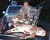 Show them to me.-backyard-buck.jpg