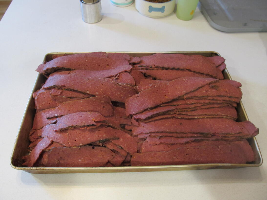 https://www.huntingnet.com/forum/attachments/camp-cooking-game-processing/41289d1626275851-venison-bacon-img_2295.jpg