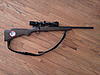 My new critter getter - .17 HMR-img_20130223_142314.jpg