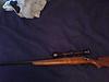 remington enfield-snapshot_20140210.jpg