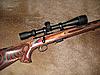 .17HMR Savage T.H. w/6-18 Sweet17 BSA-.17-hmr-savage-th.jpg