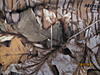 Complete Cabelas MT050 Goretex outfit-mossy-oak-004.jpg