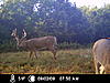 Ne missouri 429 acre deer hunt-icam0099.jpg