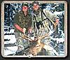 Colorado rifle elk hunts available-packcountryelk1.jpg