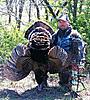 Western Oklahoma Rio Hunts, DIY-jtbird.jpg