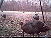 Western Oklahoma Rio Hunts, DIY-honeyhole33.jpg