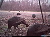 Western Oklahoma Rio Hunts, DIY-honeyhole30.jpg