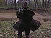 Western Oklahoma Rio Hunts, DIY-cr-2011.jpg