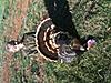 Western Oklahoma Rio Hunts, DIY-colter-smiley-1st-bird.jpg