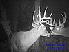 Kansas 10 DAY DIY Bow Hunts 00-love-ya-bro.jpg