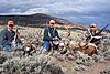 Colorado elk/mule deer combo hunt-bigrackcombo.jpg