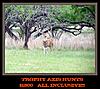 Texas trophy axis hunts-axis1800.jpg