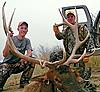 Colorado archery elk hunts-mountainviewelk.jpg