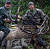 Colorado archery elk hunts-qrsbull3.jpg