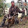 Colorado archery elk hunts-sheltonranchbull.jpg