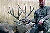 Colorado Trophy Mule Deer Hunt-bigrackbuck3.jpg