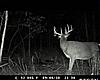 Archery Special on Canadian Whitetail Hunts-ttc_0509.jpeg