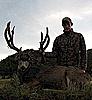 Colorado Rifle Mule Deer Hunt-bigsandybuck4.jpg