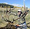 Colorado trophy elk hunt - muzzleloadedr-sangrebull1.jpg