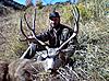 Colorado mule deer hunts-sangrebuck1.jpg