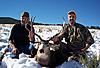 Colorado mule deer hunts-sangrebuck2.jpg