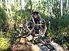 Archery Elk Hunt - Colorado-denniselk.jpg