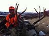 Rifle Mule Deer Hunts - Colorado-coloradomuledeer7.jpg