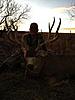 Rifle Mule Deer Hunts - Colorado-coloradomuledeer4.jpg