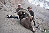 Special offer! Mid asian ibex and marco polo hunt in Kyrgyzstan!-09.jpg