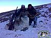 Special offer! Mid asian ibex and marco polo hunt in Kyrgyzstan!-08.jpg