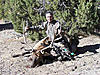 Colorado Big Game Hunts still available-archeryelk4.jpg