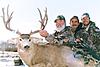 Colorado Trophy Mule Deer Archery Hunt-coloplainsbuck.jpg