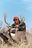 Colorado Rifle Mule Deer Hunts-coloradomuledeer2.jpg