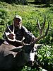 2014 hunts with guaranteed tags-utah-deer-1.jpg