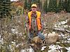 Colorado DIY Drop Camp Elk Hunts-coloradodropcampelk.jpg