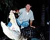 Florida Alligator Hunt - Done Right-img_3045.jpg