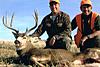 Colorado Muzzleloader Mule Deer Hunt-muledeerbuck4.jpg