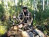 Colorado Archery Elk Hunts-denniselk.jpg